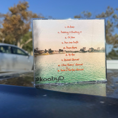 Stay Down Until You Come Up (CD)