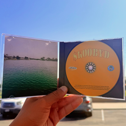 Stay Down Until You Come Up (CD)